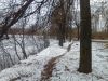 IMG_20250207_165515.thumb.jpg.4ea23a93bb1cb9861dfe4ac7cd96f0cc.jpg