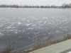 IMG_20250207_170142.thumb.jpg.653429858dcf6c93e05cbbd65a6ca9dc.jpg