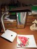 IMG_20250208_233330.thumb.jpg.7ad9a8e53dff0b78e1e3bd3885aa6148.jpg