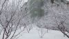 IMG_20250211_123435.thumb.jpg.ebc6a2169b076d7f917f1454e6097895.jpg