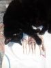 IMG_20250213_002147.thumb.jpg.18561701a2dc6448b18b4b47ff4951a8.jpg