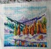 IMG_20250214_165058.thumb.jpg.7064ae8b2d39a822f0b588b43830b66b.jpg