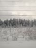 IMG_20250215_161606.thumb.jpg.dec76273322f607140e1923c576db646.jpg