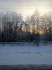 IMG_20250215_171331.thumb.jpg.8c44c085d319dc690f7f8373d60d44c9.jpg
