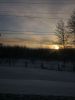 IMG_20250215_171424.thumb.jpg.dbbc12b27f5c3c5cc14f908ab4016942.jpg