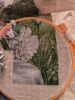 IMG_20250221_170959.thumb.jpg.6cc489a2620ae2d5d2258b9fae032ce5.jpg