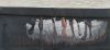 IMG_20250223_100407.thumb.jpg.e3edf2e59744b8e663d84088e810225c.jpg
