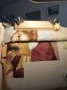 IMG_3169.thumb.jpeg.6201964e7d94fac8f1be91575417f425.jpeg