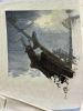 IMG_5403.thumb.jpeg.31f2f7a21048d967e36f94f006866c2f.jpeg