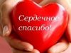 IMG_6681.thumb.JPG.4192dbe416418d6954279708f7f47eb0.JPG