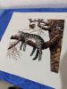 IMG_8036.jpeg