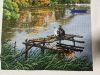 IMG_8276.jpeg