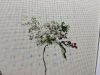 IMG_8347.jpeg