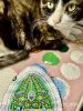 IMG_8374.thumb.jpeg.09b14ff836eb8027ce162e69cd084d1a.jpeg