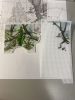 IMG_9021.jpeg