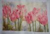 Tulips10.jpg.7208cecc1b164312405985eee122a814.thumb.jpg.59518cd857ac75f1c76da35ee51c6c7e.jpg