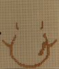 1.thumb.jpg.9dcc88d73bbd9a029dd4c86d4c365254.jpg