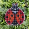 Оторова Гуля (Guli Stitch), Божья коровка