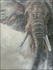 1018052368_.thumb.jpg.900afec374ae684bd81079abc254a579.jpg