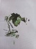 1027_102012.thumb.jpg.f2a11db2ea2a7f7a63e70b3666f24d31.jpg?1741493206270