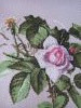 1126_133123.thumb.jpg.1e716abff218a9e1536195bde52a8e1f.jpg?1741493691231