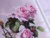 1209_131451.thumb.jpg.cc5c61f38a036b8a2a7cfabe4ec77b5b.jpg?1743334564143