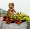 1275050096_.thumb.jpg.8ad62ea2bb0af4a32e9ac857609e81f0.jpg