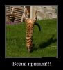 14345991.thumb.jpg.3df2babcd73e9d9d451ef507bd18d14b.jpg