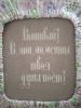 1742577044744.thumb.jpg.baa24a0392bdaf0fdb7bc38c8d86e31e.jpg