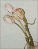17612.thumb.jpg.a98bc40c182678f3962c652e2c9b7af4.jpg