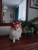 20231231_130010.thumb.jpg.39dfba8a7b7afabe029cc2fe77928cbe.jpg