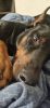 20241219_215301.thumb.jpg.34896c68f5ebbb80be59fa35b5cf7d3d.jpg