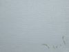 20250101_142340.thumb.jpg.7b4dbe47527b126b4bb63fe55c934b4a.jpg
