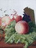 20250208_135449.thumb.jpg.a69d0e8c929ad605facb3ffd06686073.jpg?1741494354434
