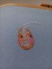 20250212_151228.thumb.jpg.bbc67a22f1042ccec7dabd3883ea0ac8.jpg
