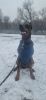 20250302_120212.thumb.jpg.6e65a7ab493cfcfc60c1b75cabc0f74c.jpg