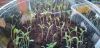 20250310_190014.thumb.jpg.1f5c5db379a48b50cdea22b671ab3b2f.jpg