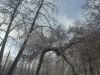 20250314_163404.thumb.jpg.e832ee51e5f6354ed1313c590c6cb536.jpg