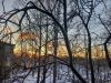 20250314_184135.thumb.jpg.297ccc48e8343384bc4ea423844fe143.jpg