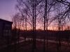 20250322_194454.thumb.jpg.8138fc2458f124c99544110ead60bd29.jpg