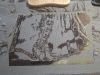 20250329_192244.thumb.jpg.9ac43f6f6f3b65ab9b8b6e7ed9725415.jpg