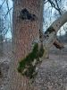 20250330_185002.thumb.jpg.50ac97f5054d43888afc47bf05416358.jpg
