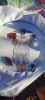25-03-14_3.jpg.d849ca2c7564eb41bcd6ea7764166fab.thumb.jpg.f6842a9a3dcf3cbf4329eadea395bb70.jpg