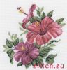 RTO M375, Гибискус