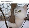 3059.thumb.gif.f2c26a50acc7c96f41d4878fda9fe842.gif