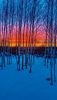 5564cbf1-eadd-4a9b-a948-3e1128eb3aa9.thumb.jpg.7cb51d5cd7a72007cae82dc4ae8d0cdf.jpg