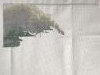 B673D3F5-B692-4BD2-A4AE-AC42AF7C594E.thumb.jpeg.cceef7253f96a1f7c118c87d6b120974.jpeg?1741945843124
