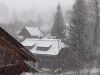 DSC08377.thumb.JPG.ec038a87c654a2ff90955cfeca1257b1.JPG