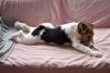 DSC_5498-2.thumb.JPG.5ff9d416d5f17b3049fdd38610e11698.JPG