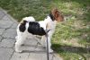DSC_5630.thumb.JPG.b99e240e40442194db845eb976eceed6.JPG